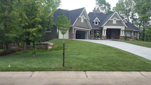 Completed sodded lawn in Excelsior, MN.