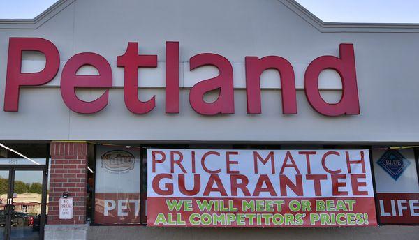 Petland Athens