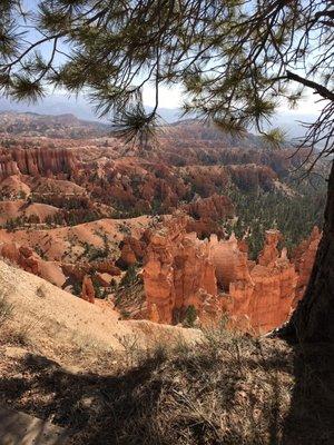 Bryce Canyon. So amazing. The colors are so bright it looks like it's been tie dyed.