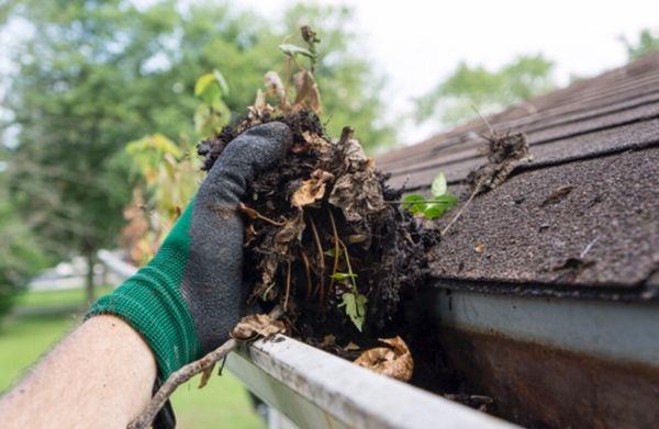 Let us slap that grime off your house. Call us!