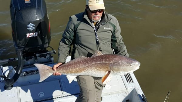 This big girl slammed a matrix shad.  Could see it all from the tower.