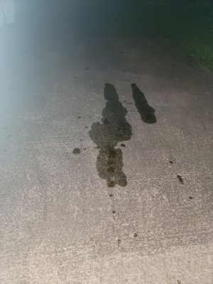 Oil leaked from a bad oil change