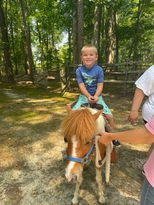 Pony Rides