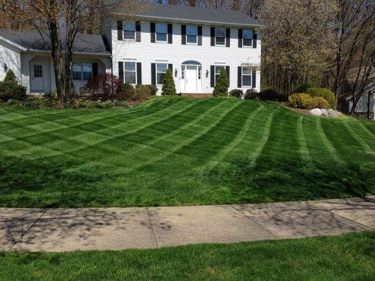 Lawn Care by Mow and Plow