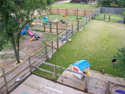 Lots of play or hanging out yards for all our 4 legged kids