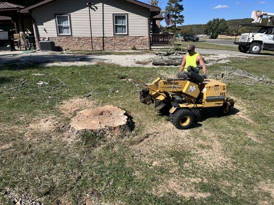 Stump grinding