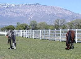 Equestrian Fencing