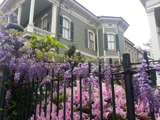 Walking tour in the Garden District, New Orleans