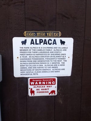 Warning: Alpacas may be habit forming!