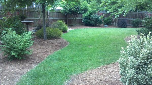 When we acquired this property the plant beds were covered in weeds.  Proper chemical app. & new mulch brought it back to life.