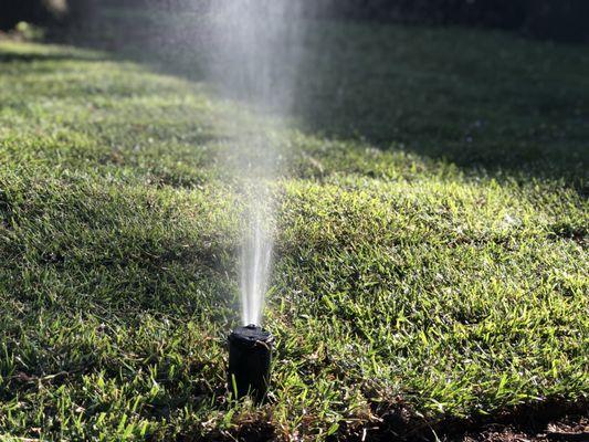 Rotor sprinkler head!