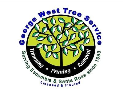 George West Tree Service