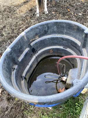 Often at LWF water troughs will be left empty