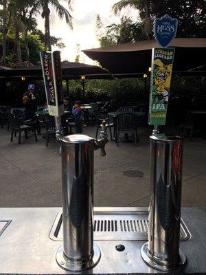 The two choices of Draft Beer