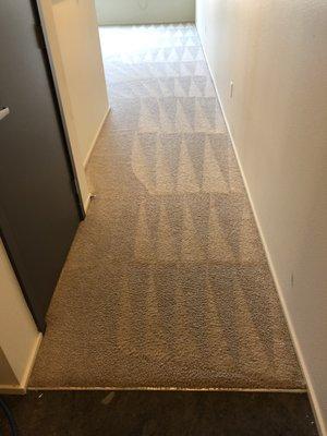 Move Out Carpet Steam Cleaning Issaquah- Hallway 1