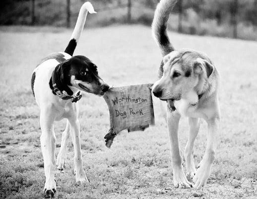 Biscuit and Duke showing some love for their favorite place to play!