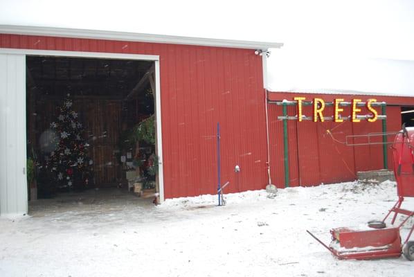 Where we make our fresh Christmas Wreaths