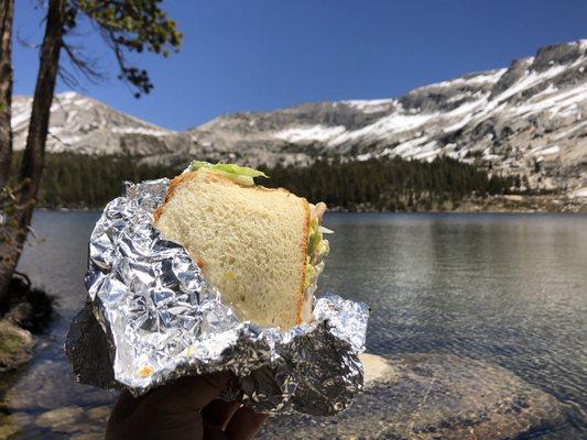 Sandwich for my hike