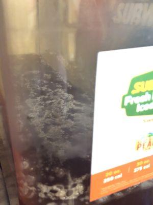 Mold on top of the ice tea