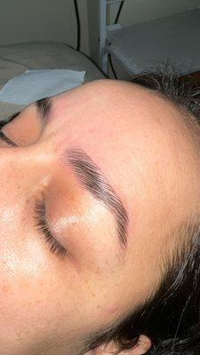 Eyebrow Lamination