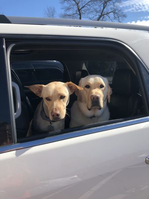 Car ride with pals