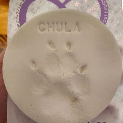 The paw imprint that was included with service.