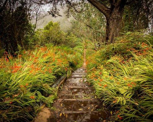 Branson nature trail