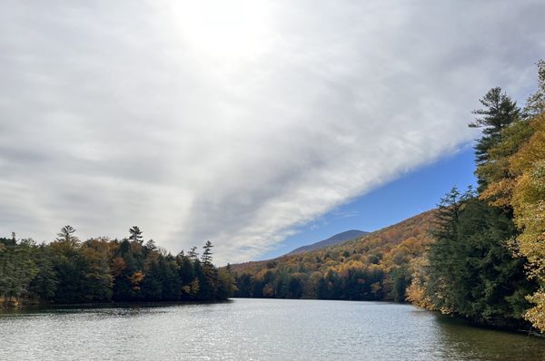 Beautiful foliage colors