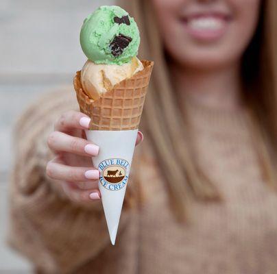 Yummy's Ice Cream & Mini Donuts