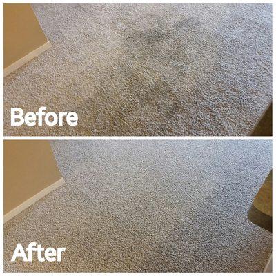 Before & After Example Carpet Cleaning Lexington KY