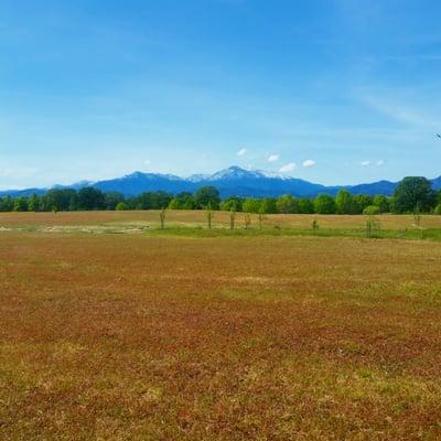 Mountain views on the McConnell Foundation walking trail