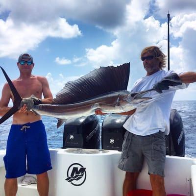 Sailfish we tagged and released