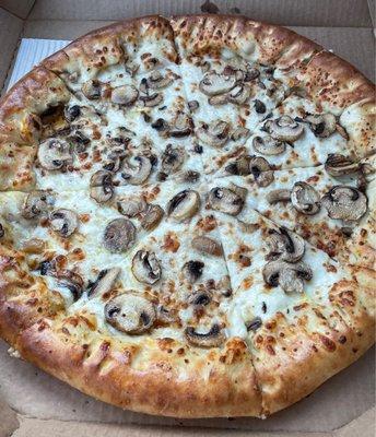 Creamy Garlic Sauce and Mushroom Stuffed Crust. Very good.