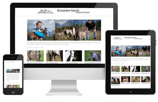 Honeydew Ranch commissioned a new logo and website. They wanted a site they could manage themselves, so I taught them how to use WordPress.