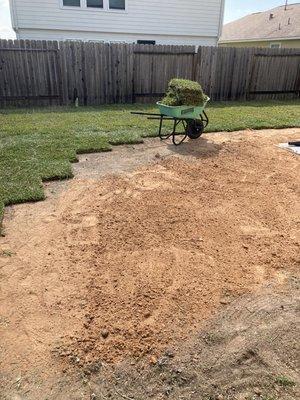 Another st Augustine installation by Reyna landscaping.