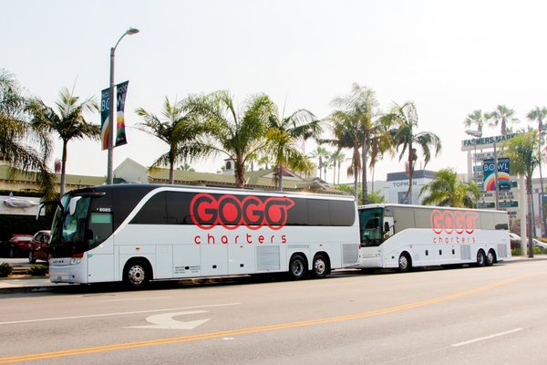 GOGO Charter Bus