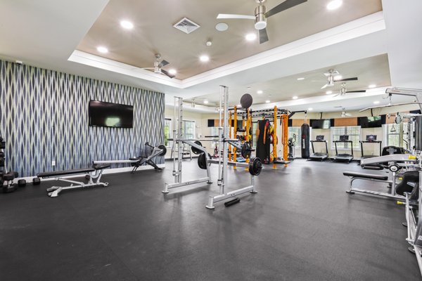 Lantower Asturia's Fully Equipped Fitness Studio featuring Crossfit Box with large ceiling fans and large windows, and a TV.