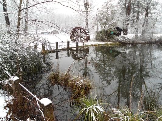 the pond directly behind us