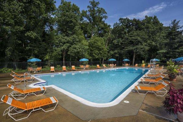 Relaxing swimming pool