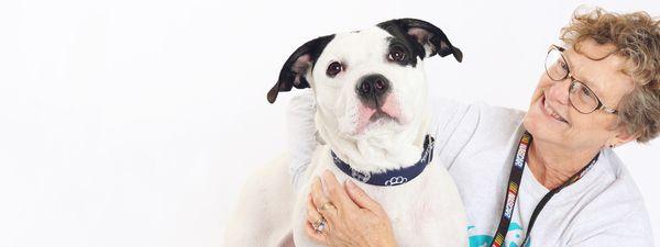 A woman with an adoptable dog.