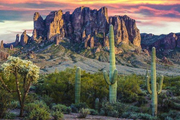 Mammoth Mine Rock Shop: An expert on The Lost Dutchman Mine in the Superstition Mountains.