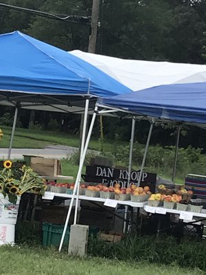 Great farm stand.