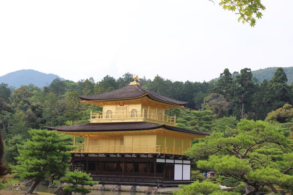 Golden Temple, Kyoto Japan