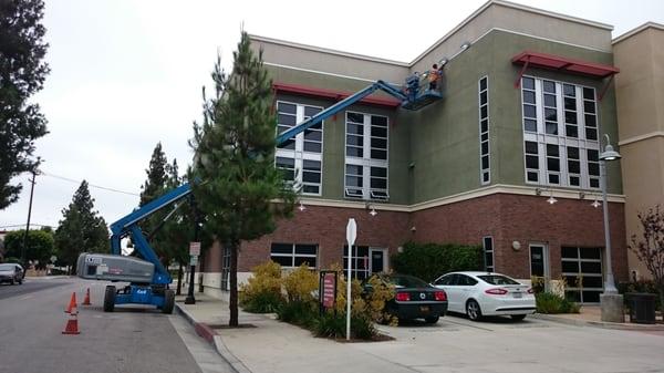 High Reach...wow this company does everything!!! They're so good, they are a pleasure to watch work!