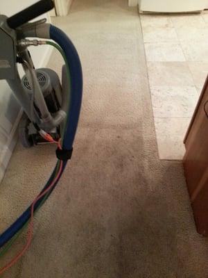 This family called me and used our $119 carpet cleaning special. Look at our work! We are simply the best in Coconino Valley.