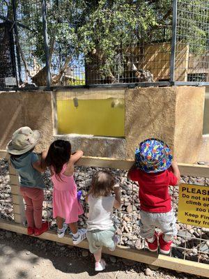 Field trips to learn about animals, space, the world, or just to have fun.