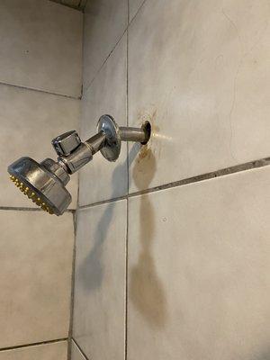 Shower head completely detached from the wall. You won't be needing it anyway. It's not like there's hot water.