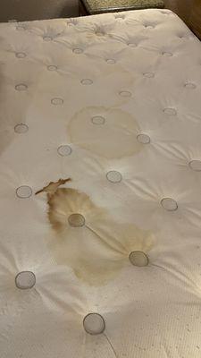 Stains on the nasty bed