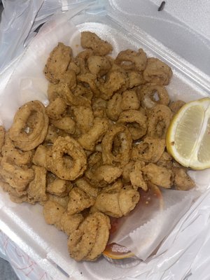 Fried Calamari