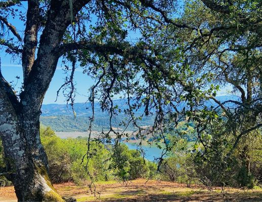 View from No Name hike trail